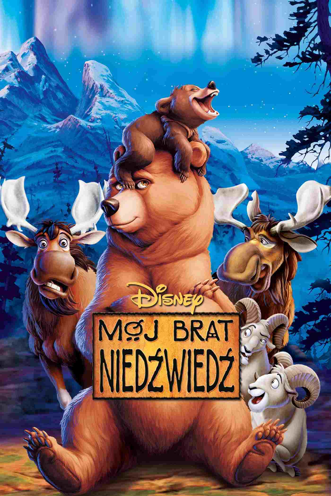  Mój brat niedźwiedź 