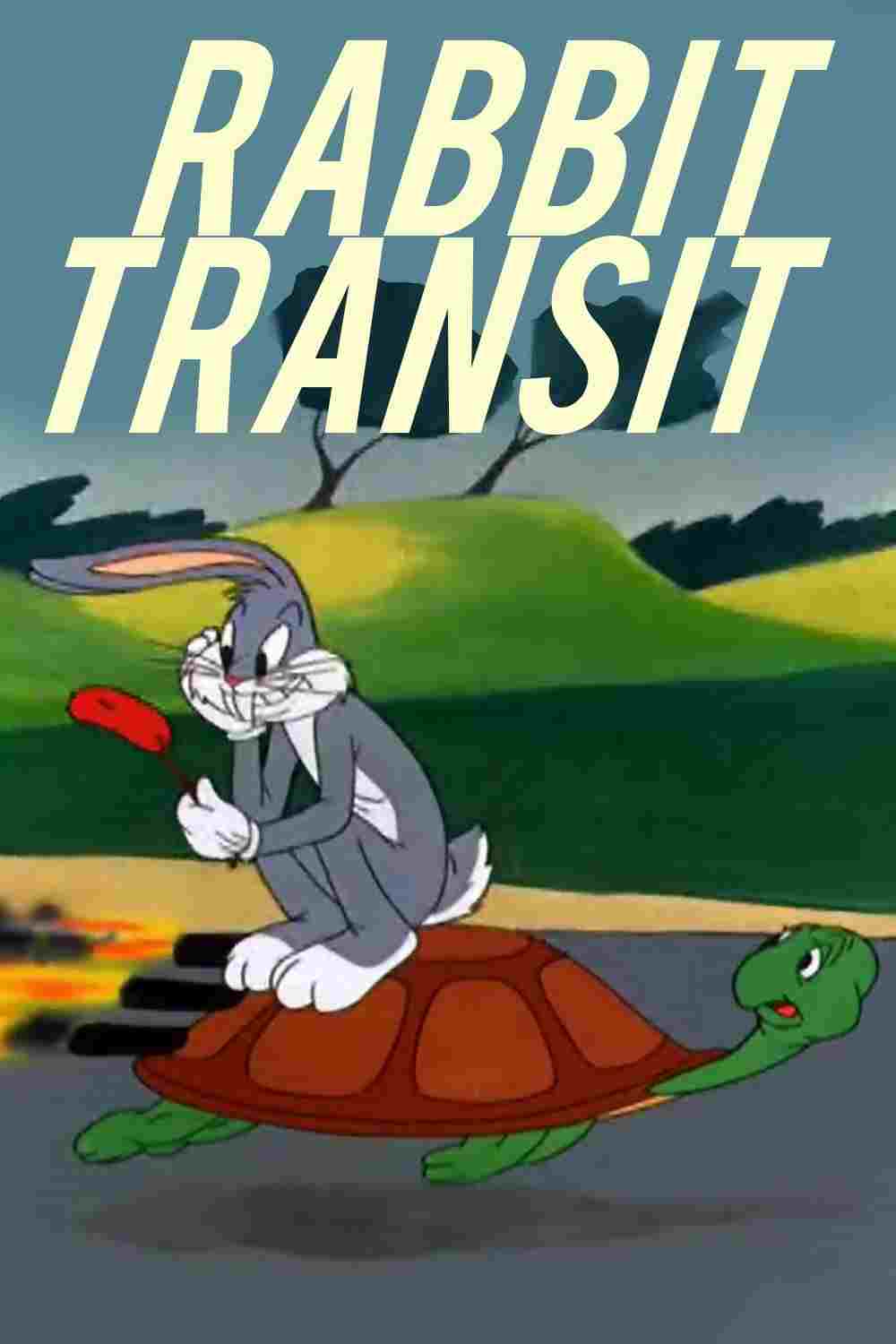  Szybki jak żółw 