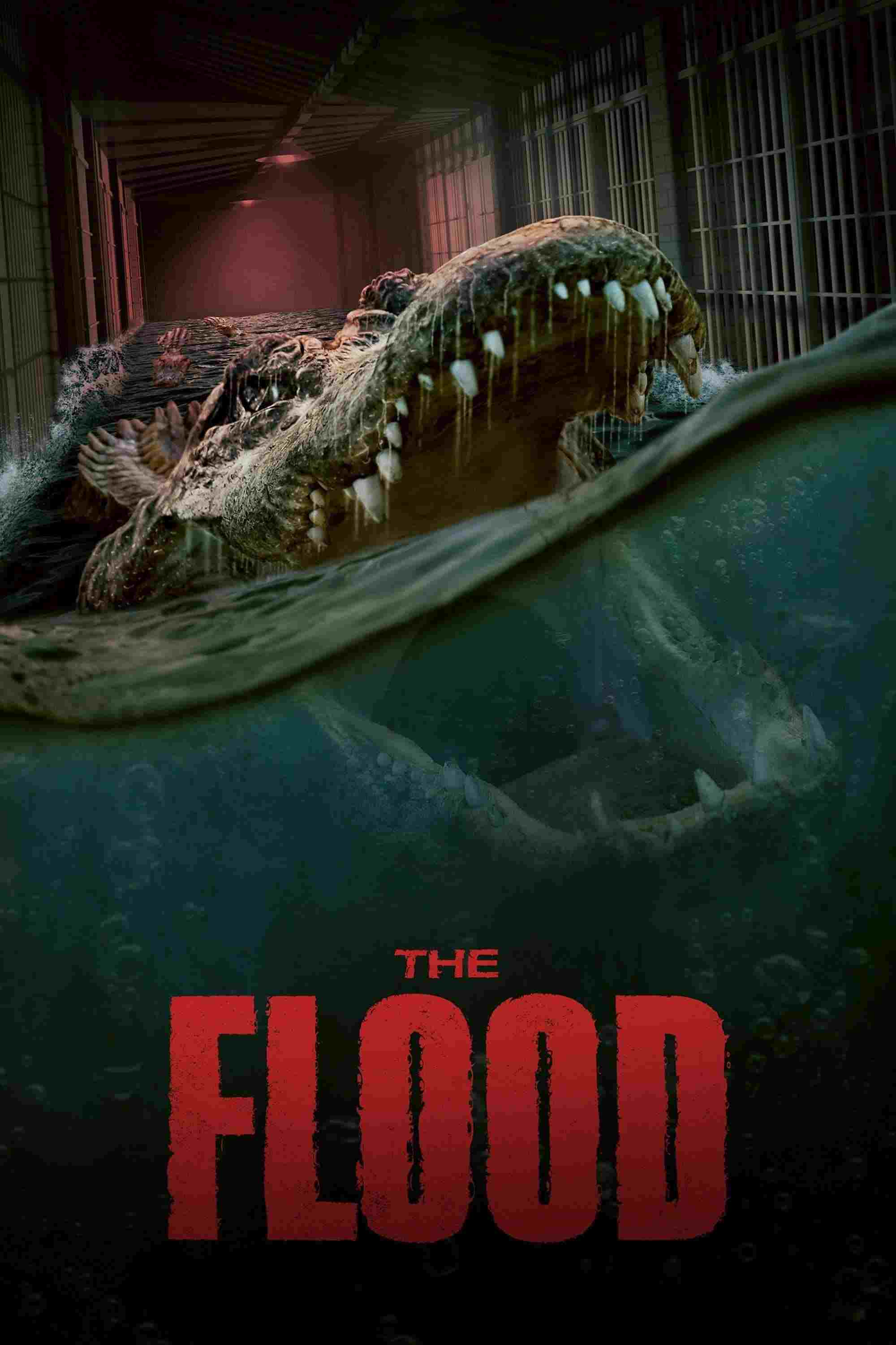  Aligator 