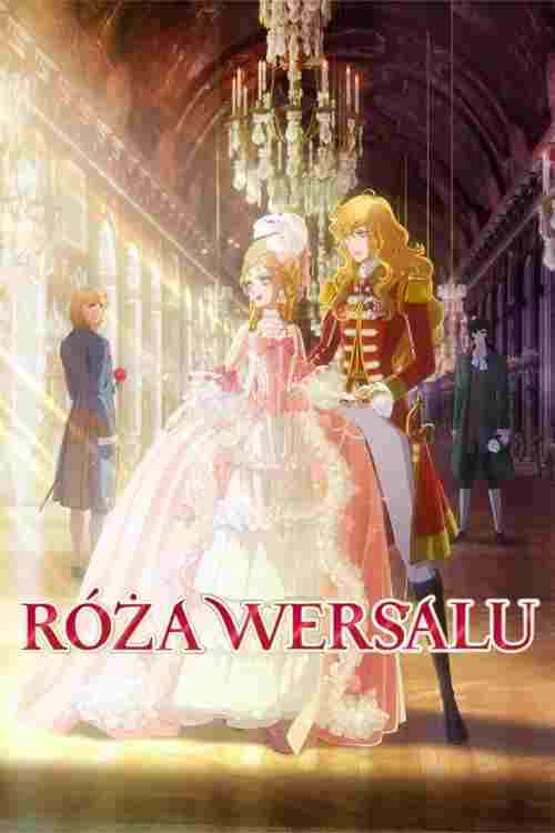  Róża Wersalu 