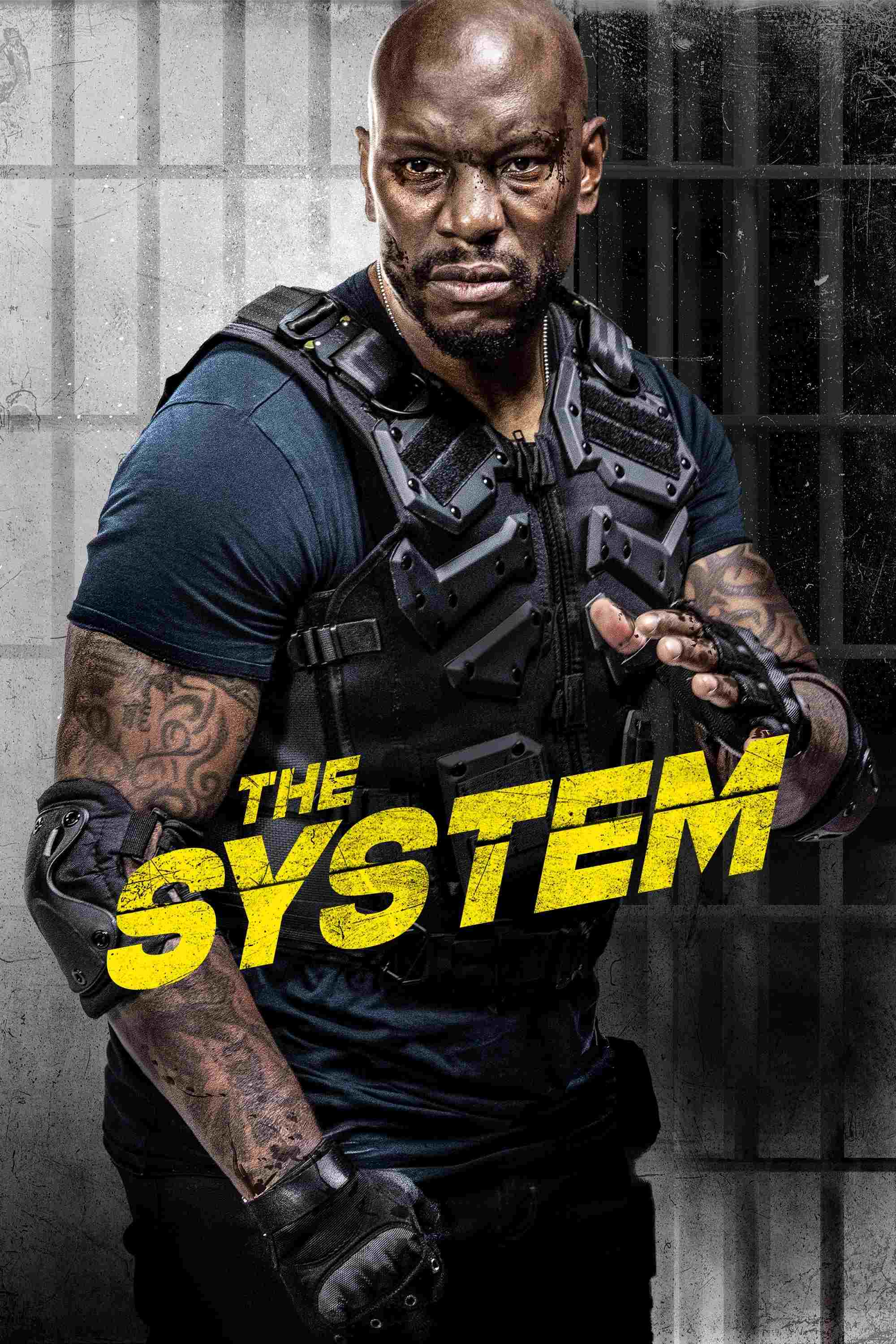  The System 