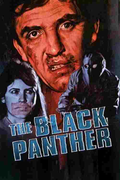  The Black Panther 