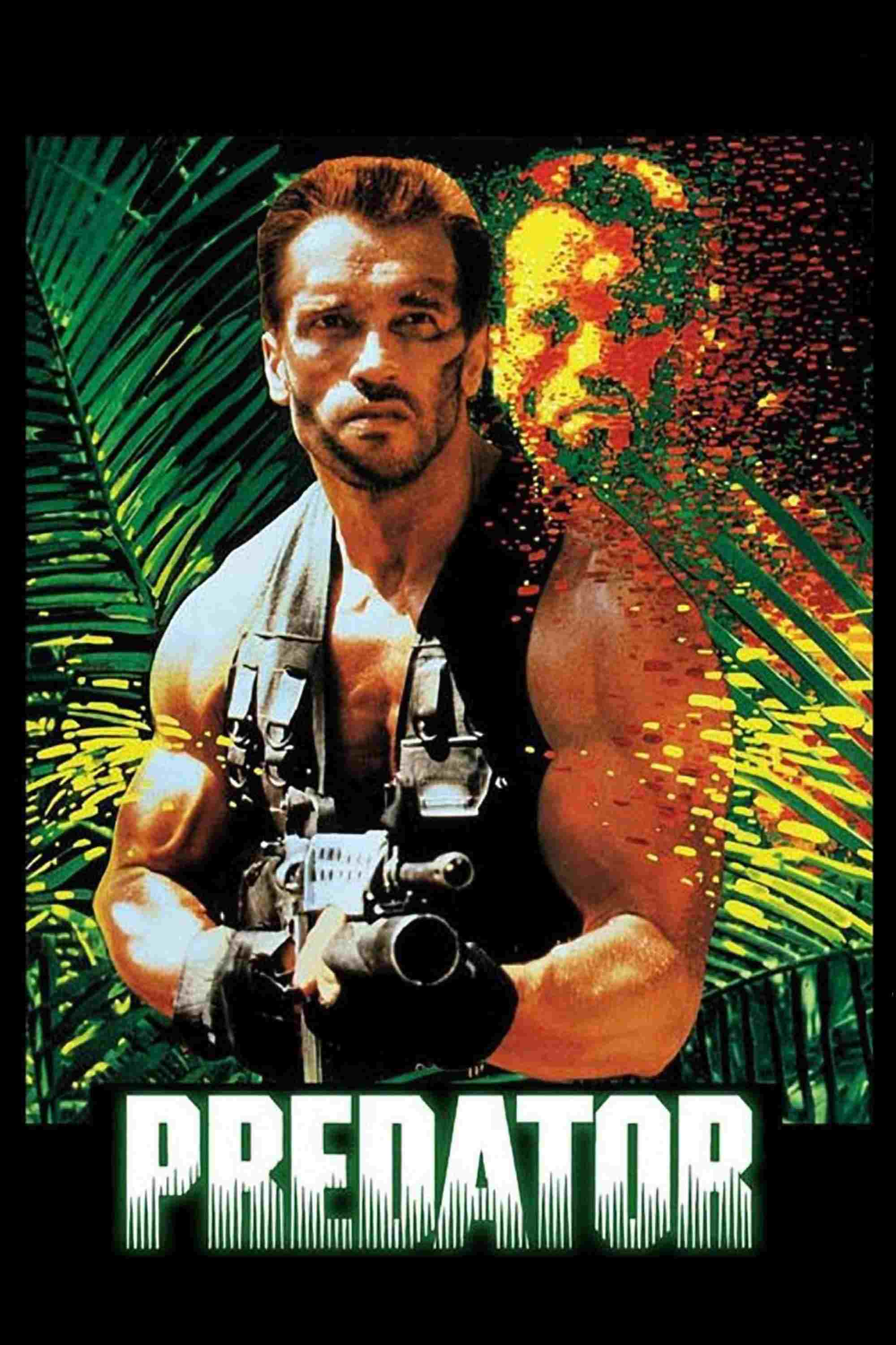  Predator 