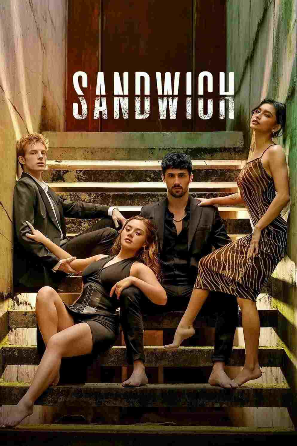 Sandwich 