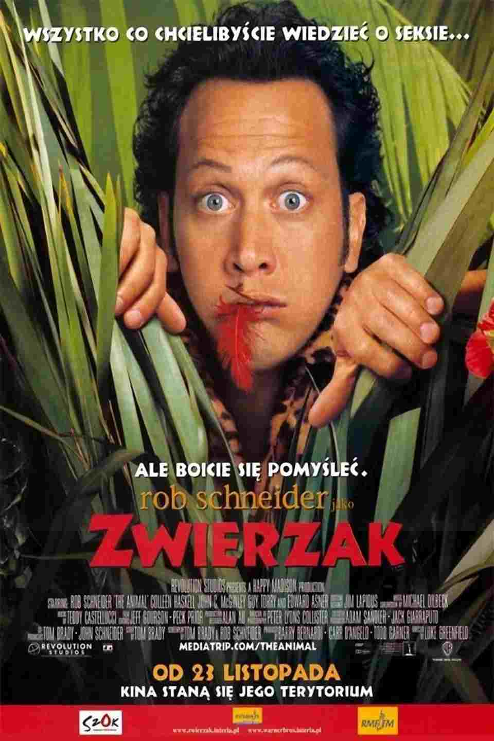  Zwierzak 