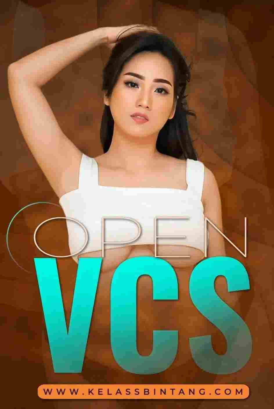  Open VCS 
