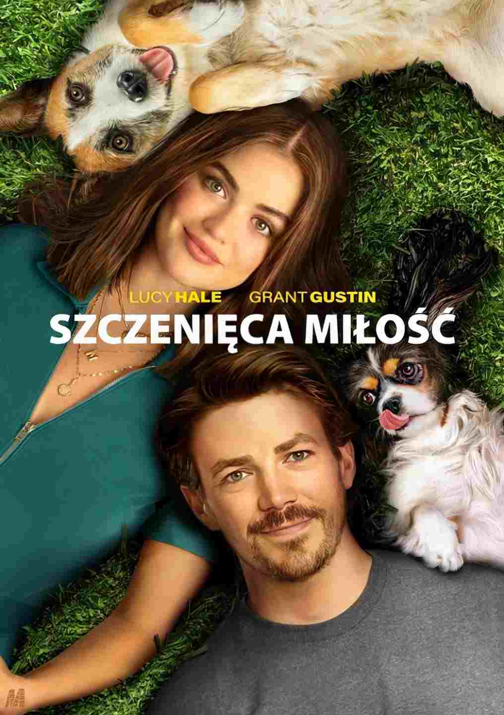  Szczenięca miłość 