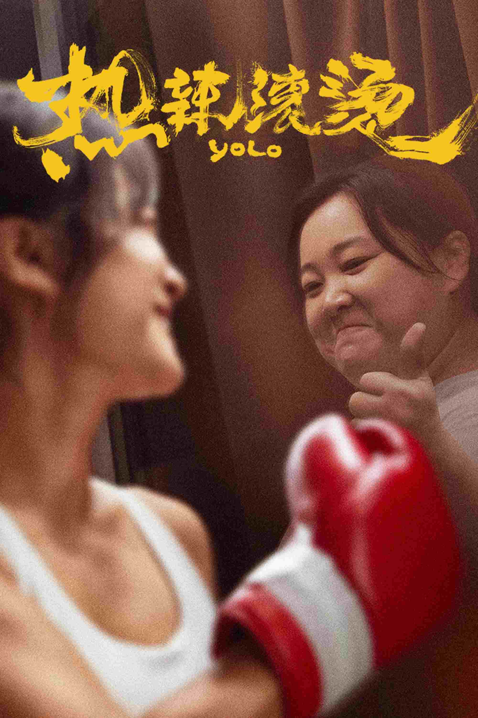  Yolo 