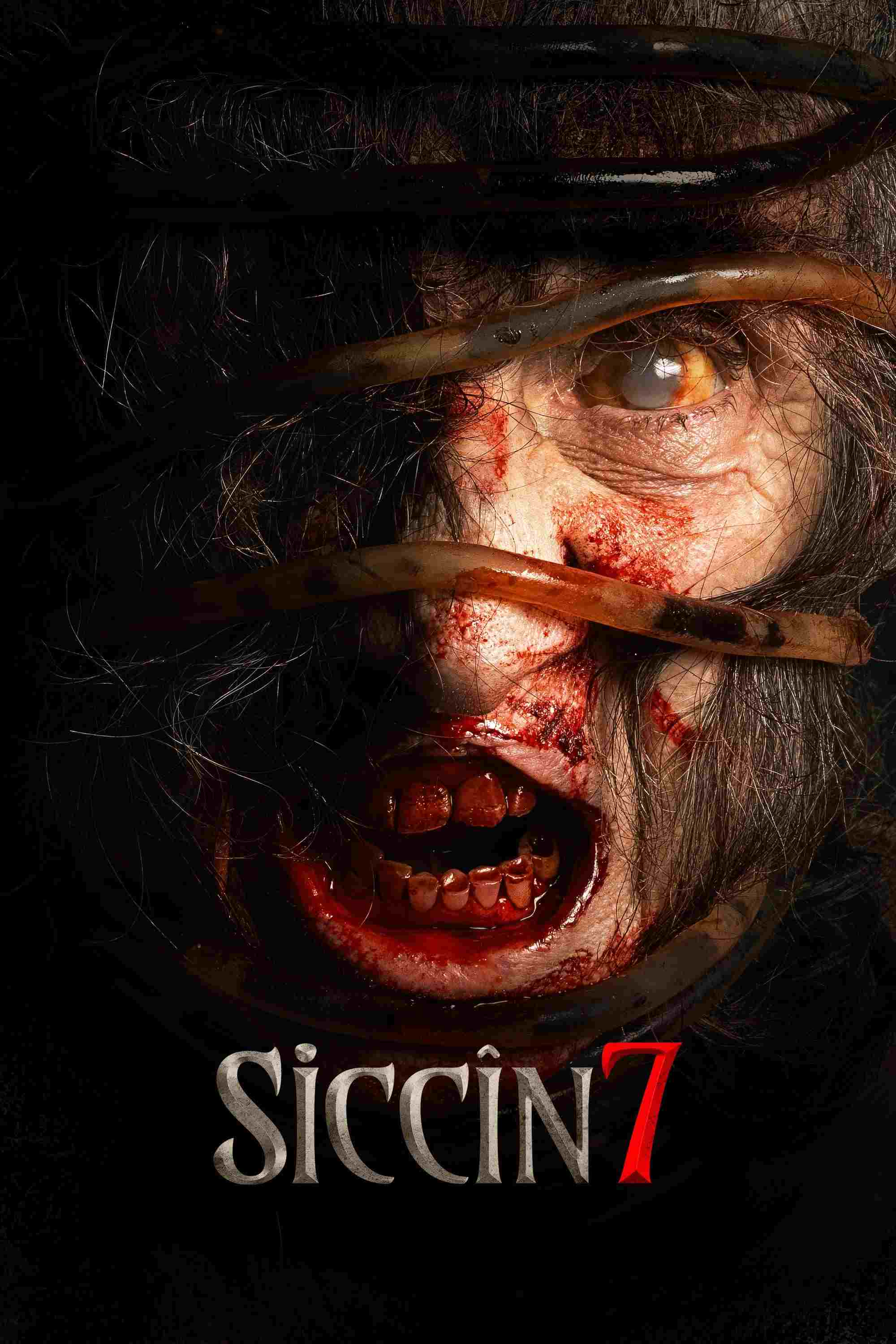  Siccîn 7 