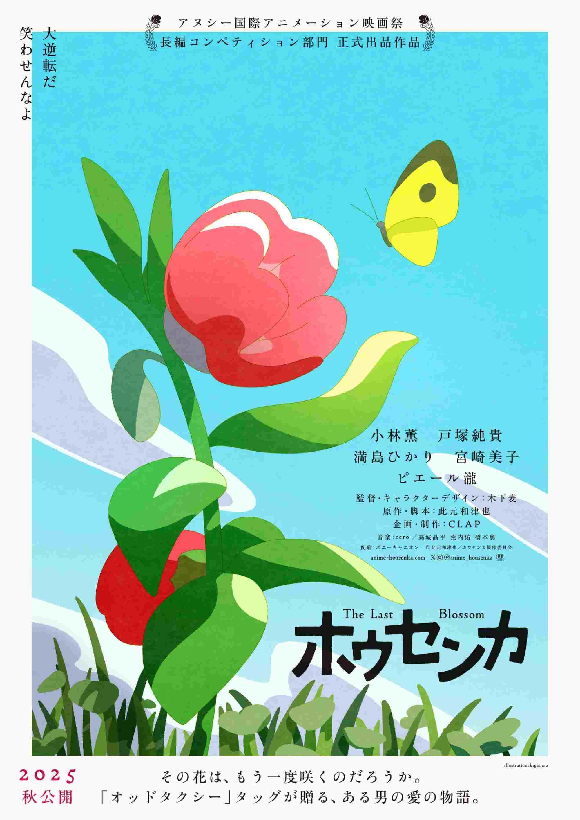  ホウセンカ 