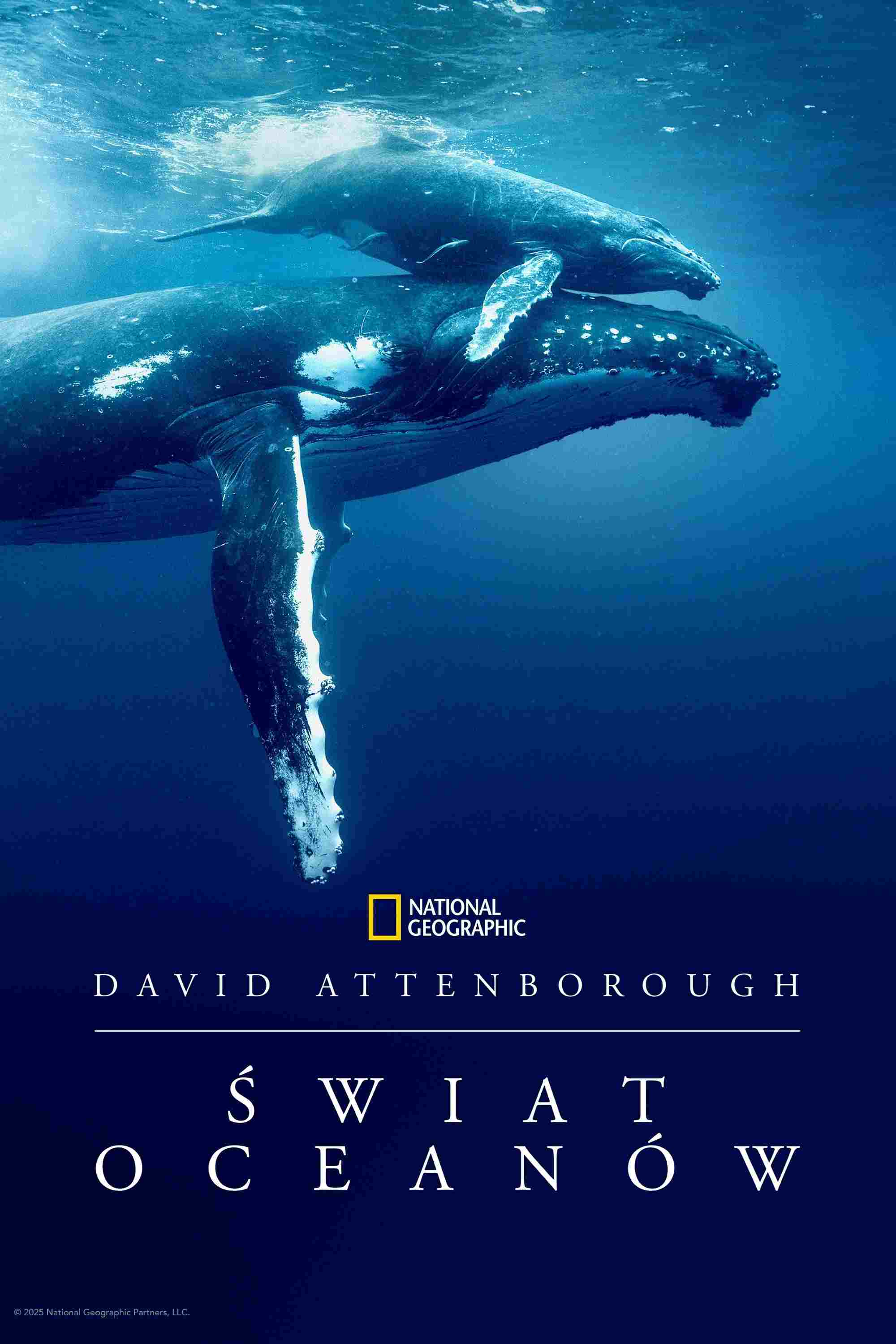  Ocean with David Attenborough 