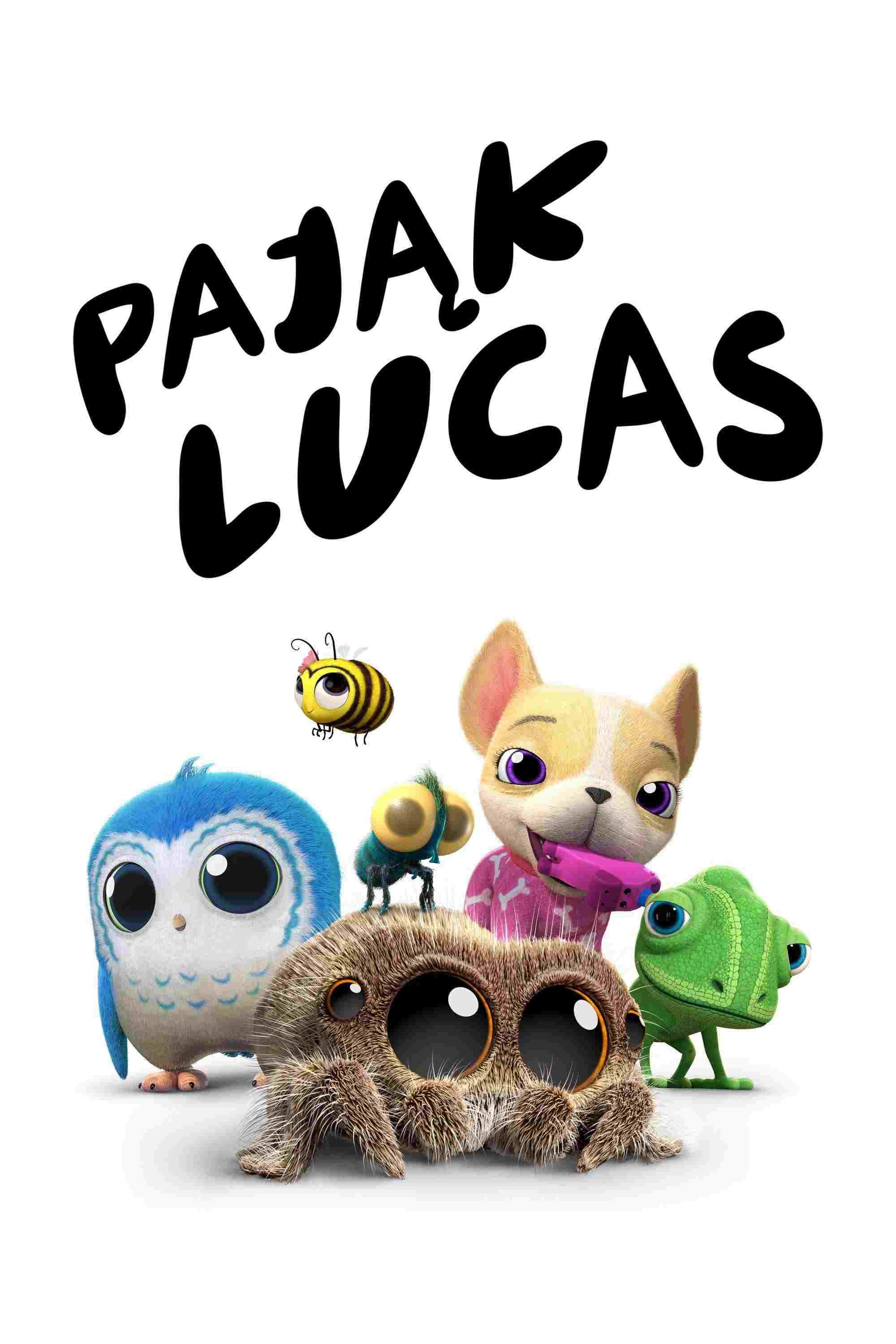  Pająk Lucas 