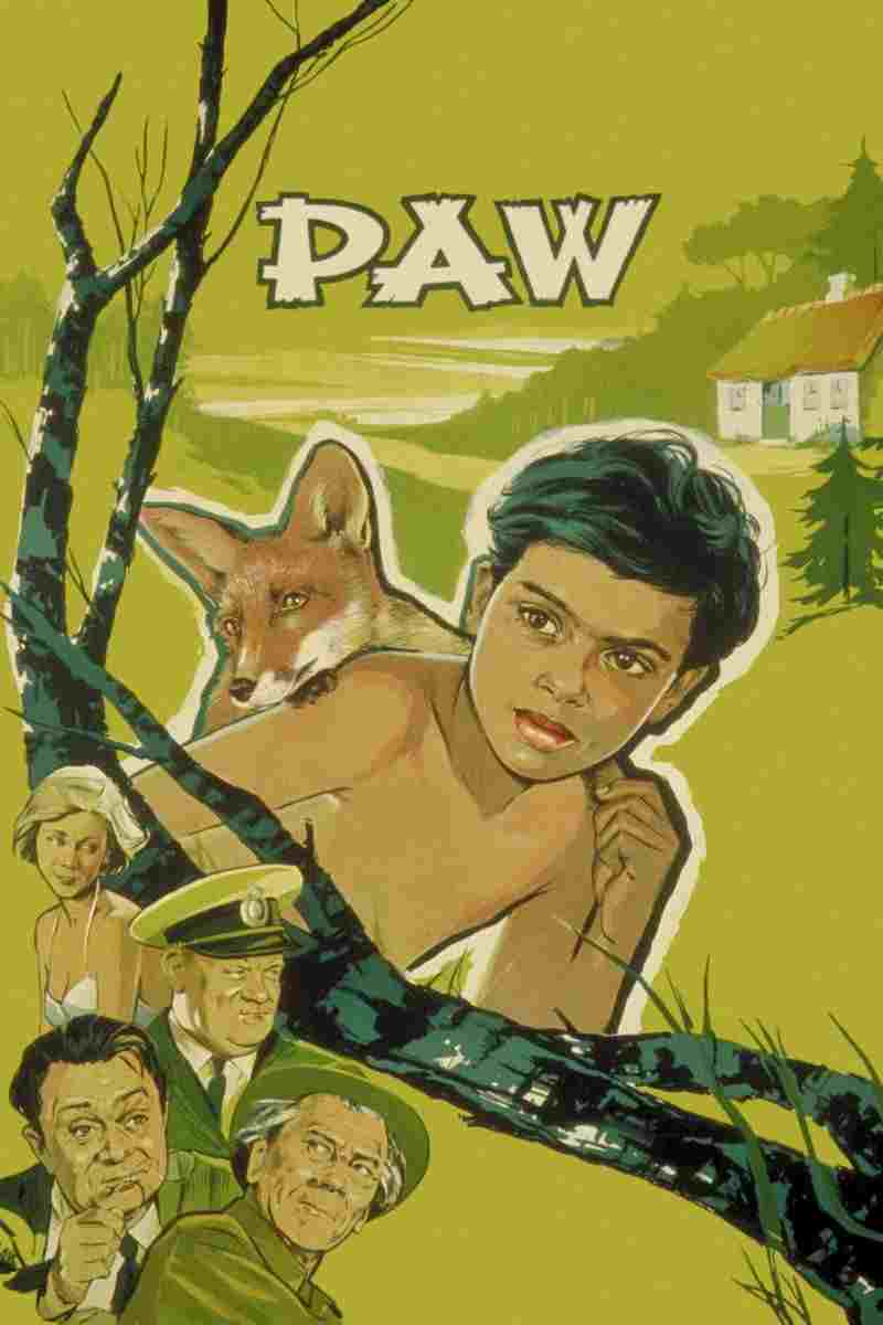 Paw 