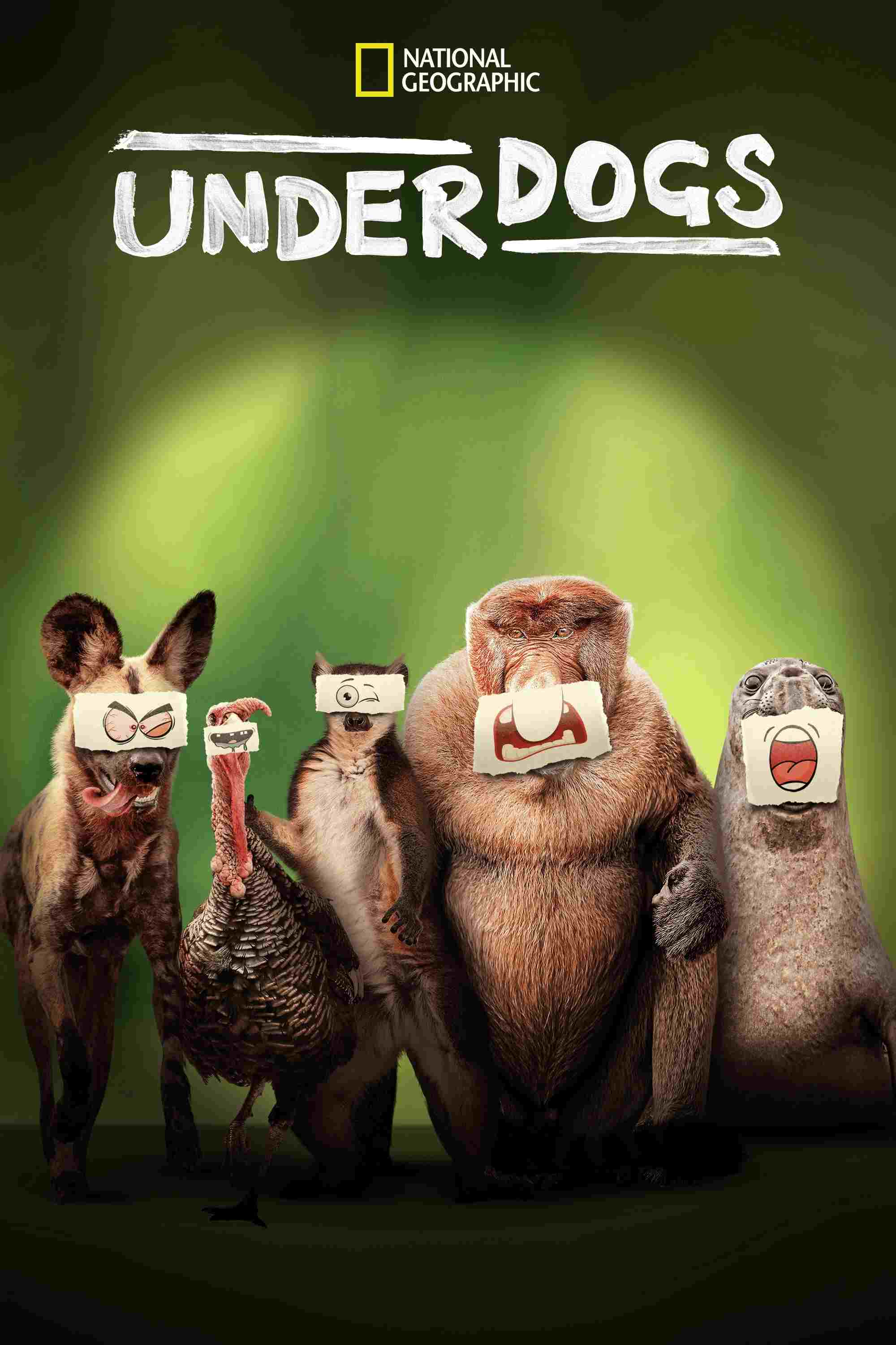  Underdogs 