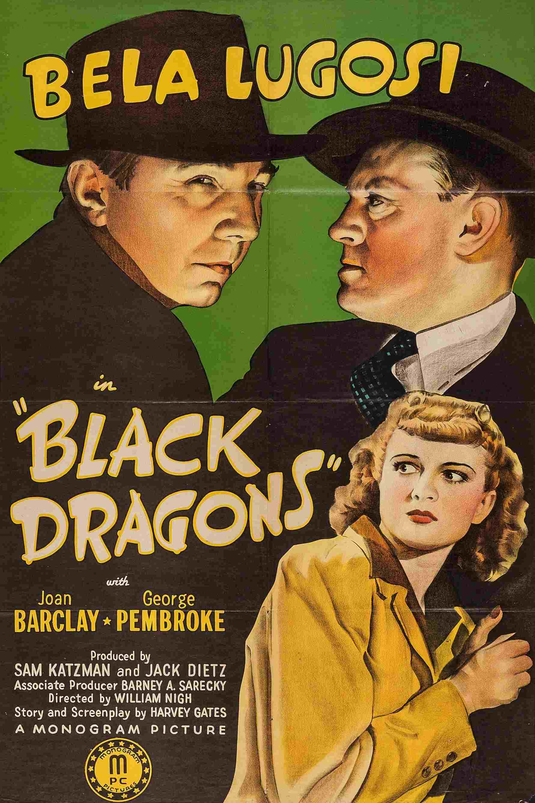  Black Dragons 