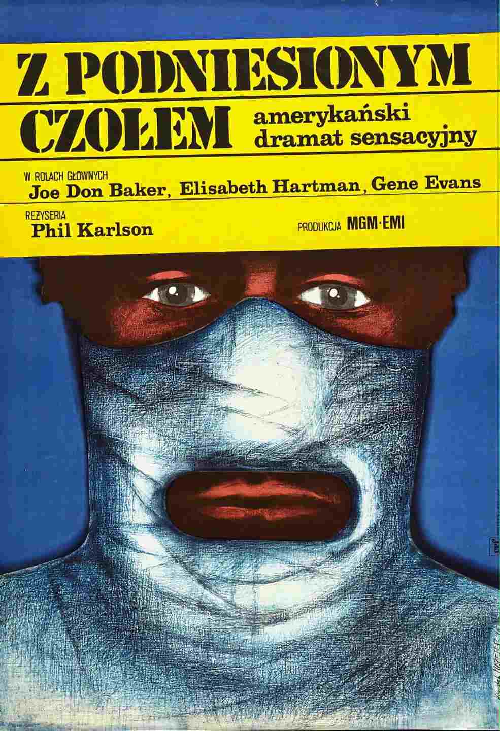  Z podniesionym czołem 