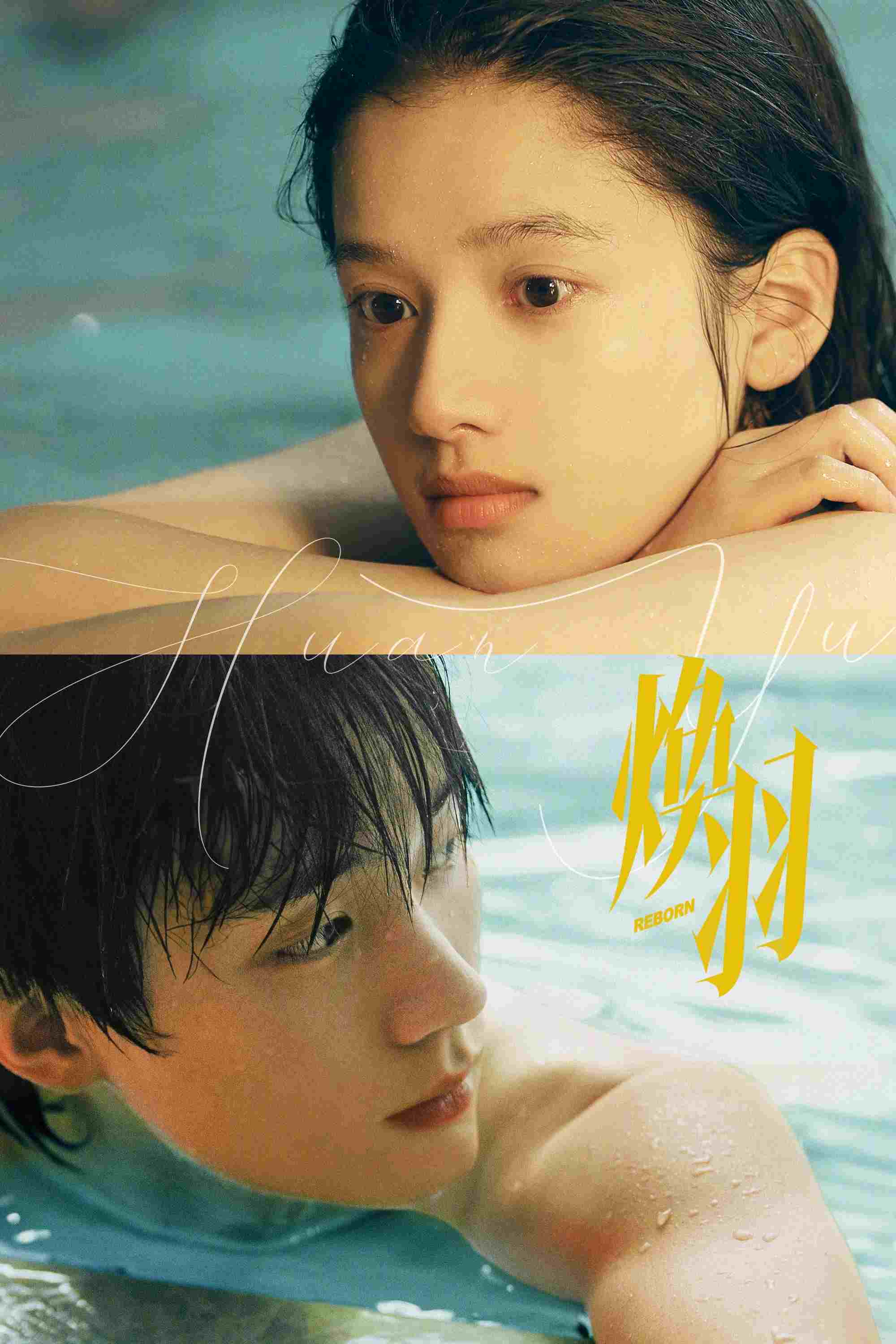  焕羽 