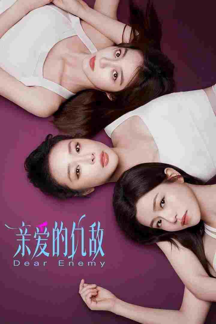  亲爱的仇敌 
