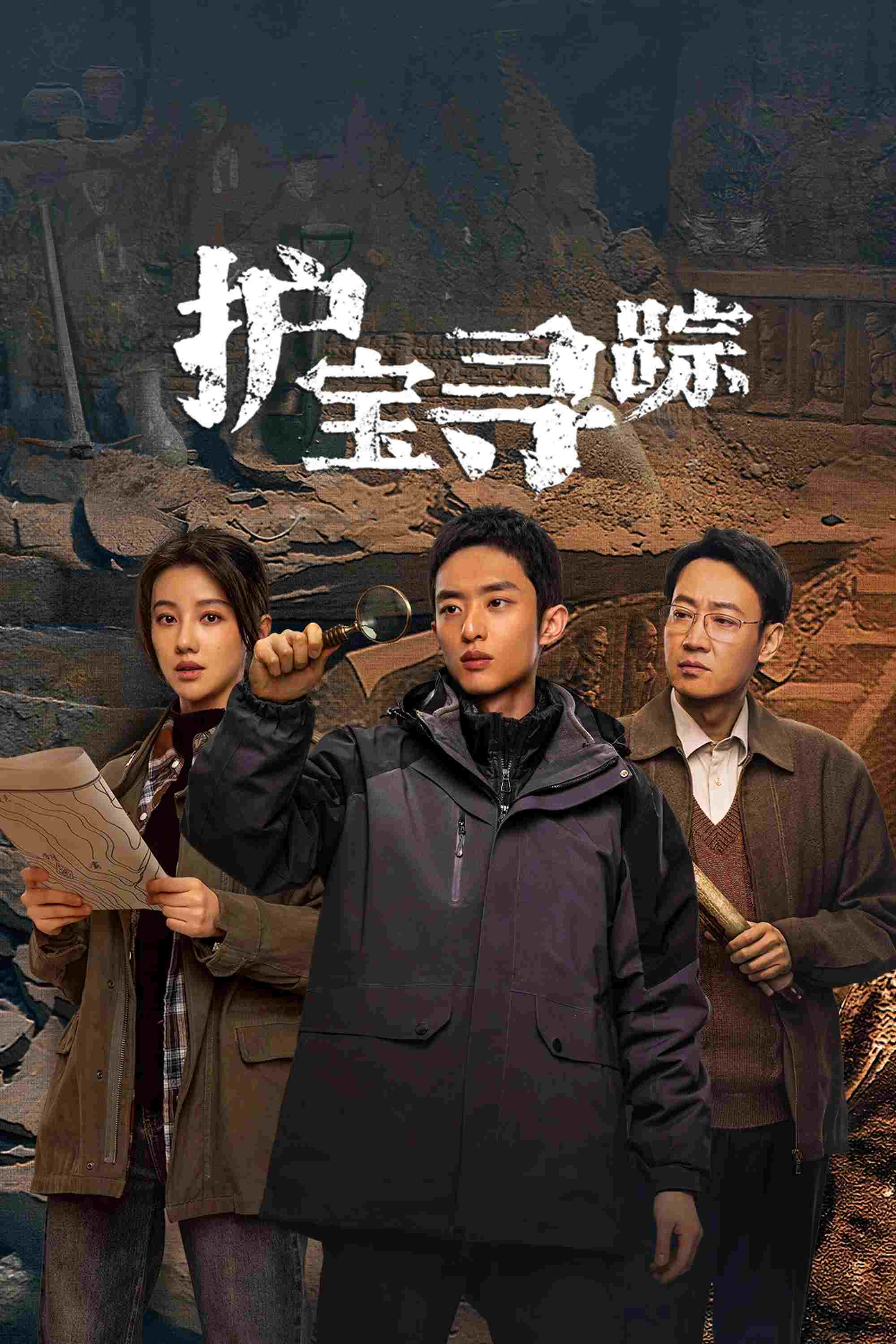  护宝寻踪 