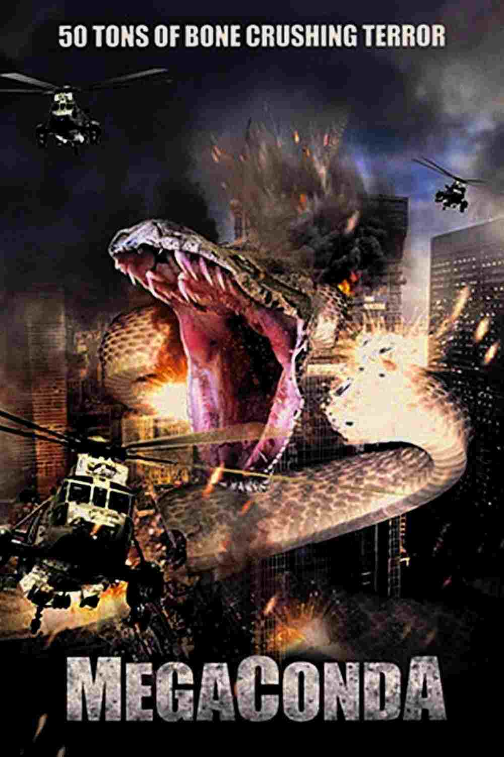  Megaconda 