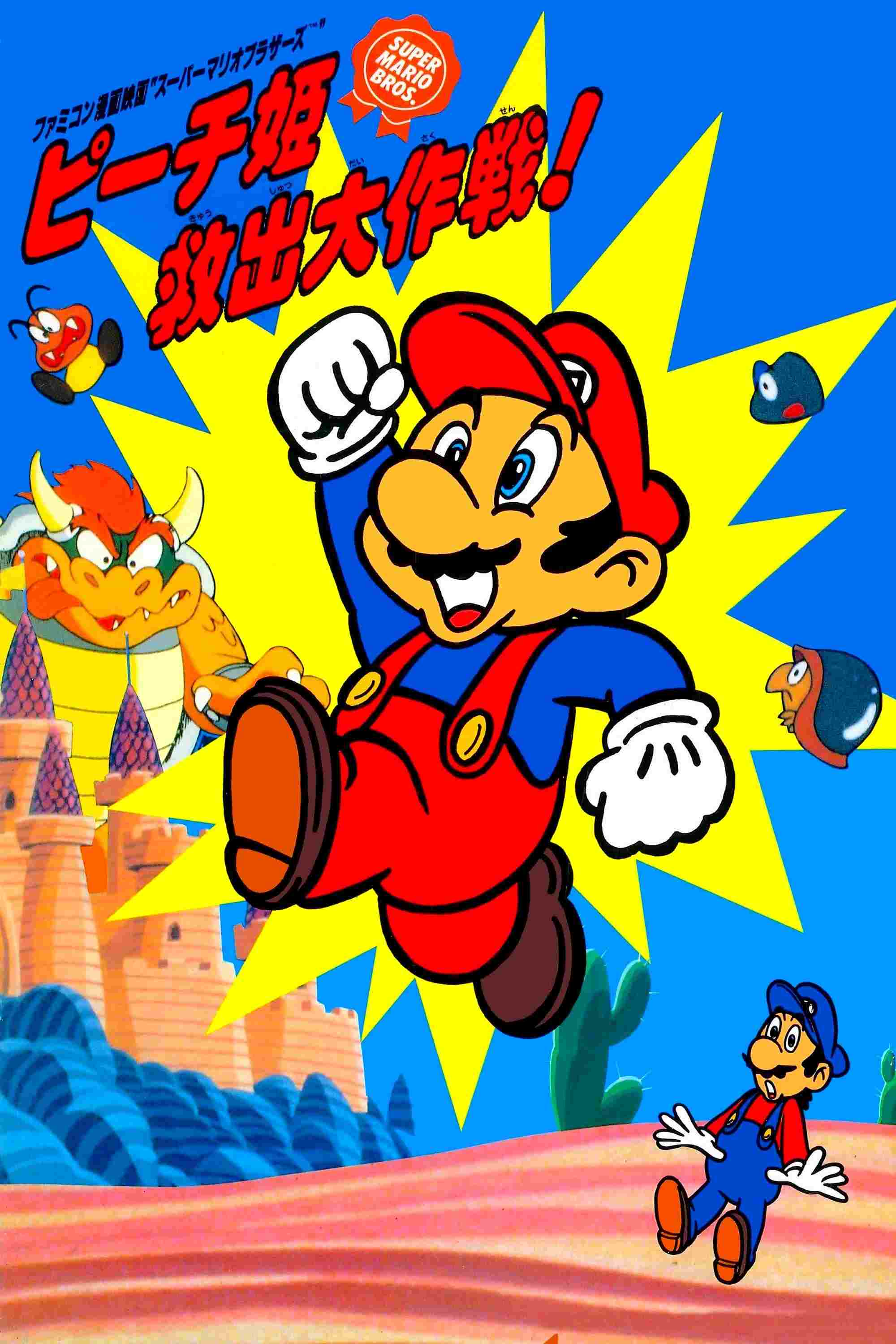  スーパーマリオブラザーズ ピーチ姫救出大作戦! 