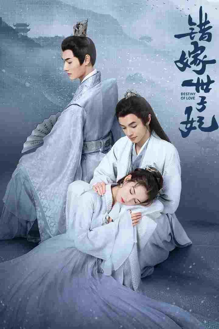 错嫁世子妃 