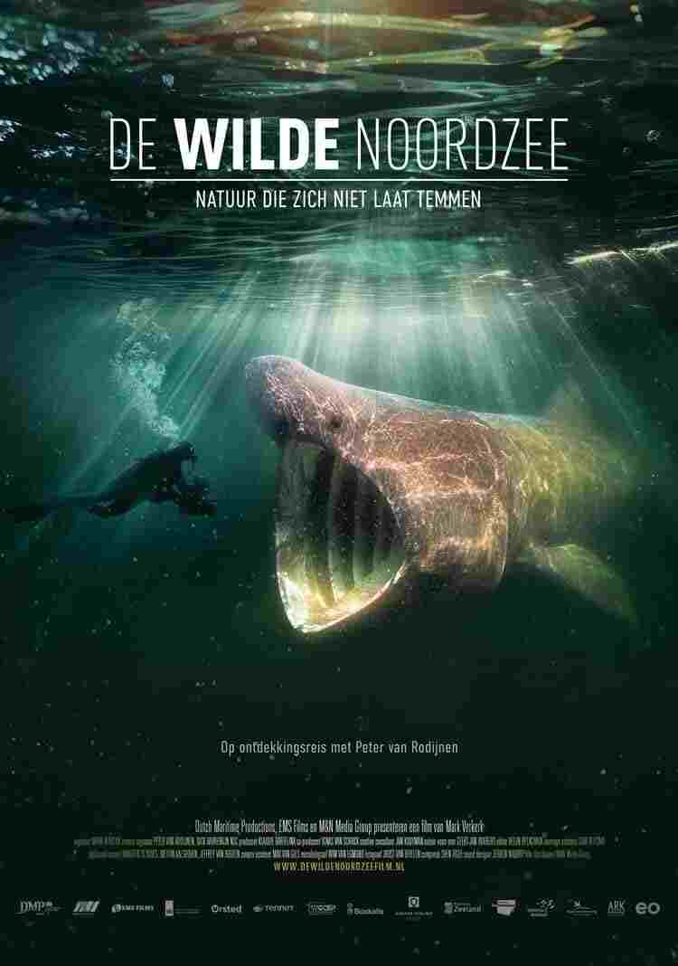  De wilde Noordzee 