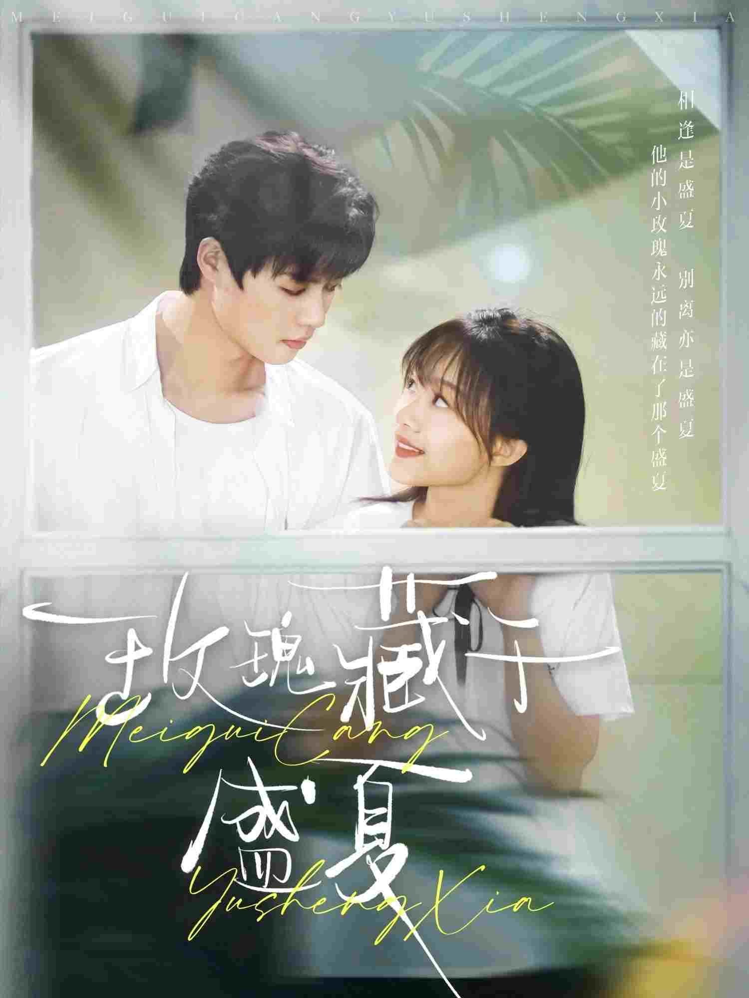 玫瑰藏于盛夏 