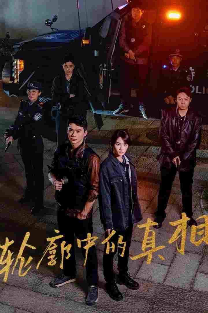  轮廓中的真相 
