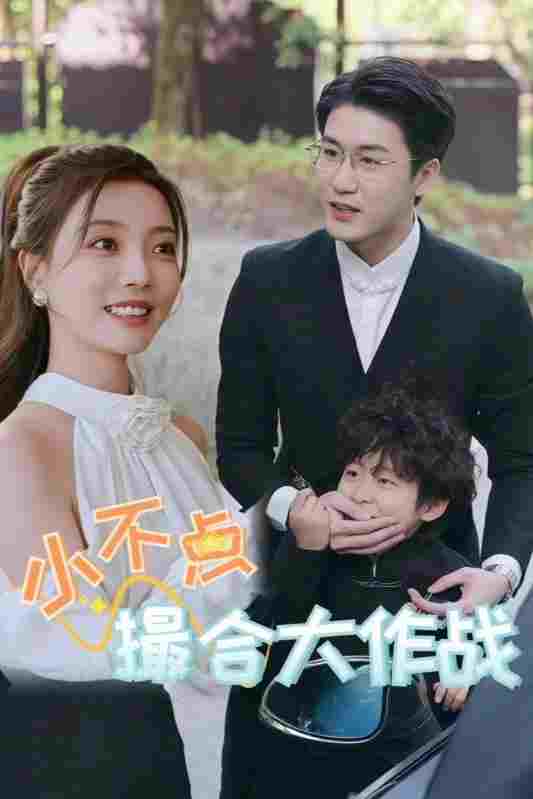  小不点撮合大作战 