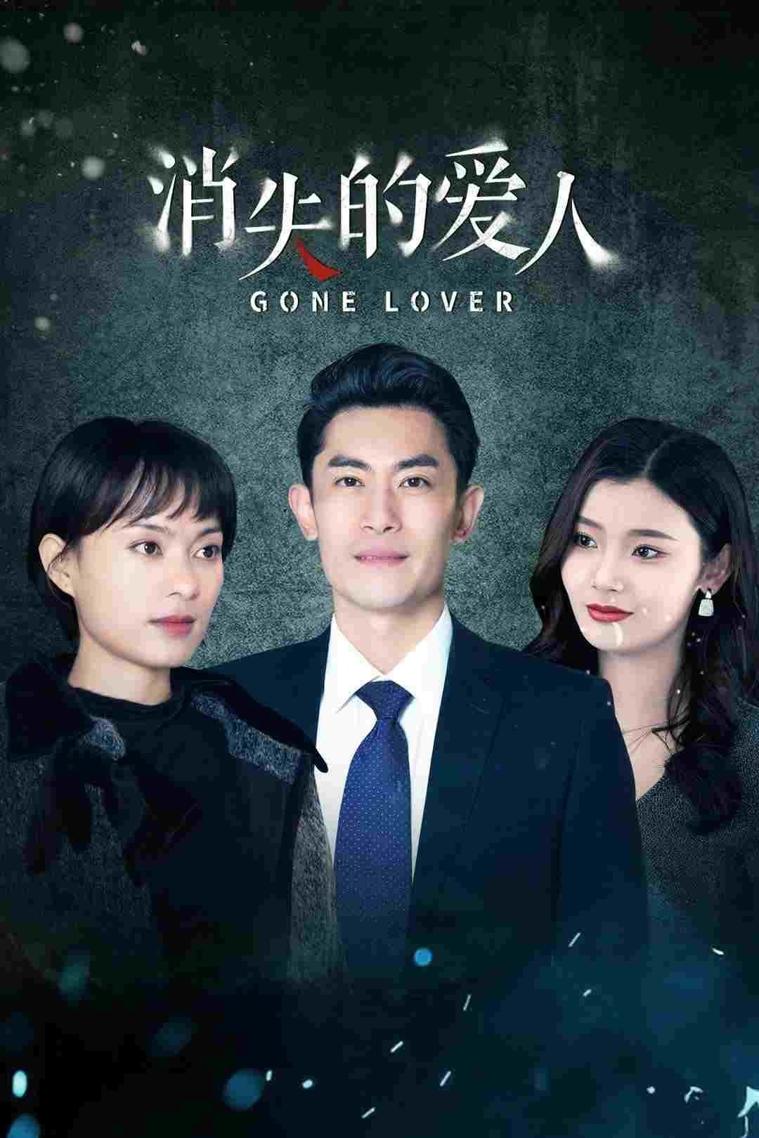  消失的爱人 