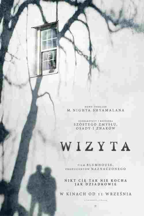  Wizyta 