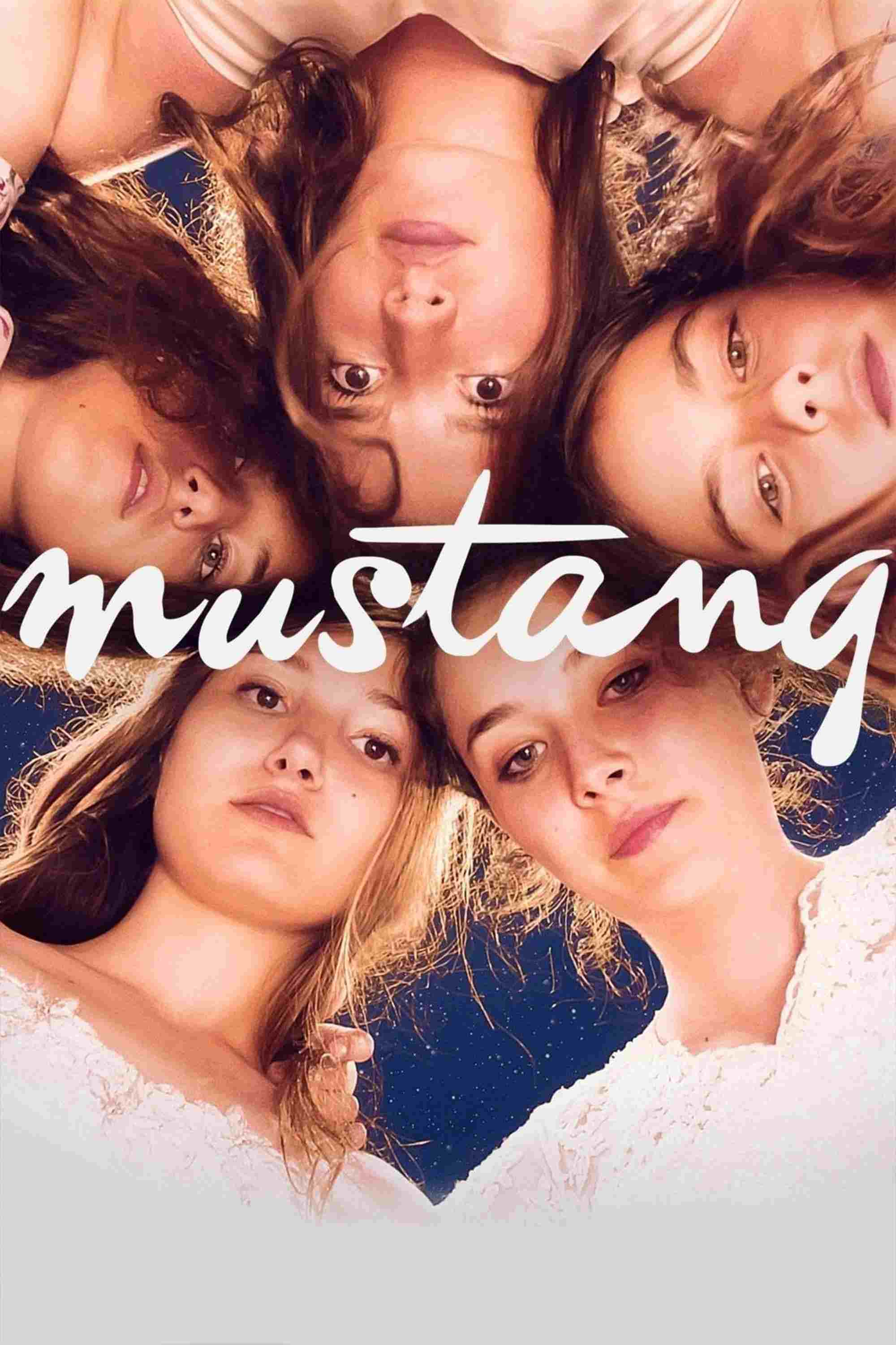  Mustang 