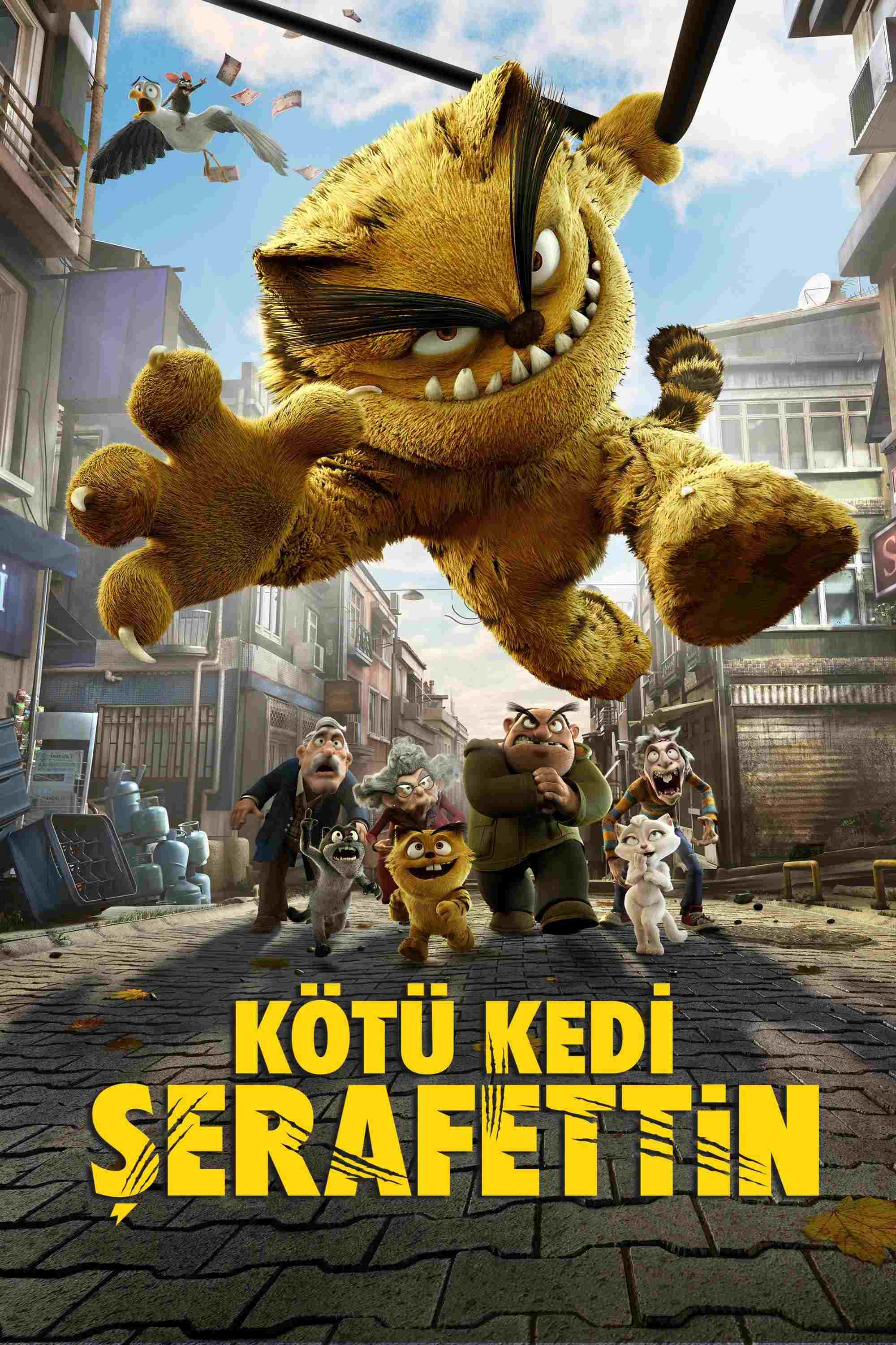  Kocur 