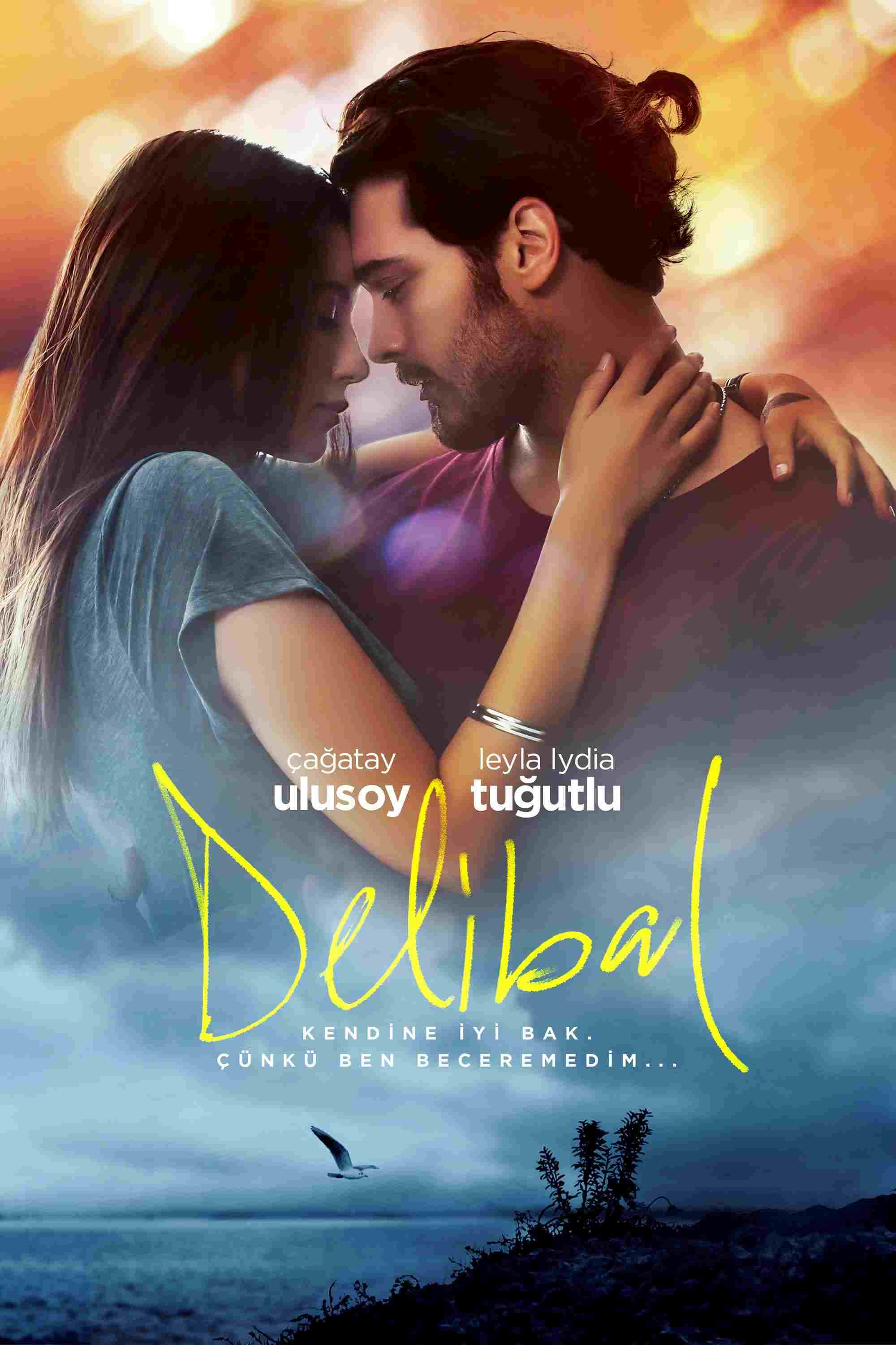  Delibal 