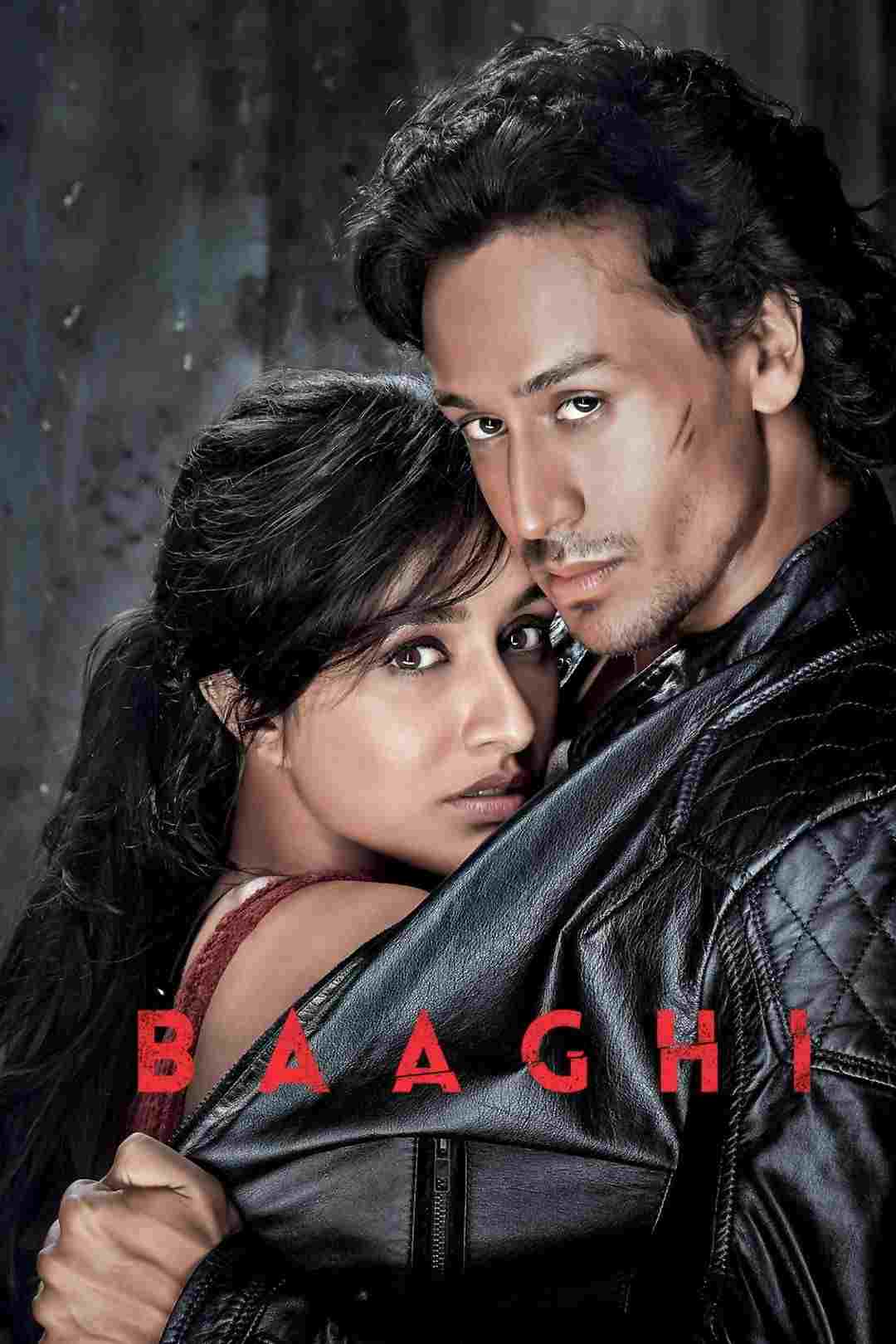  बाघी 