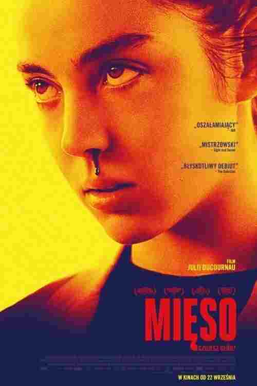  Mięso 