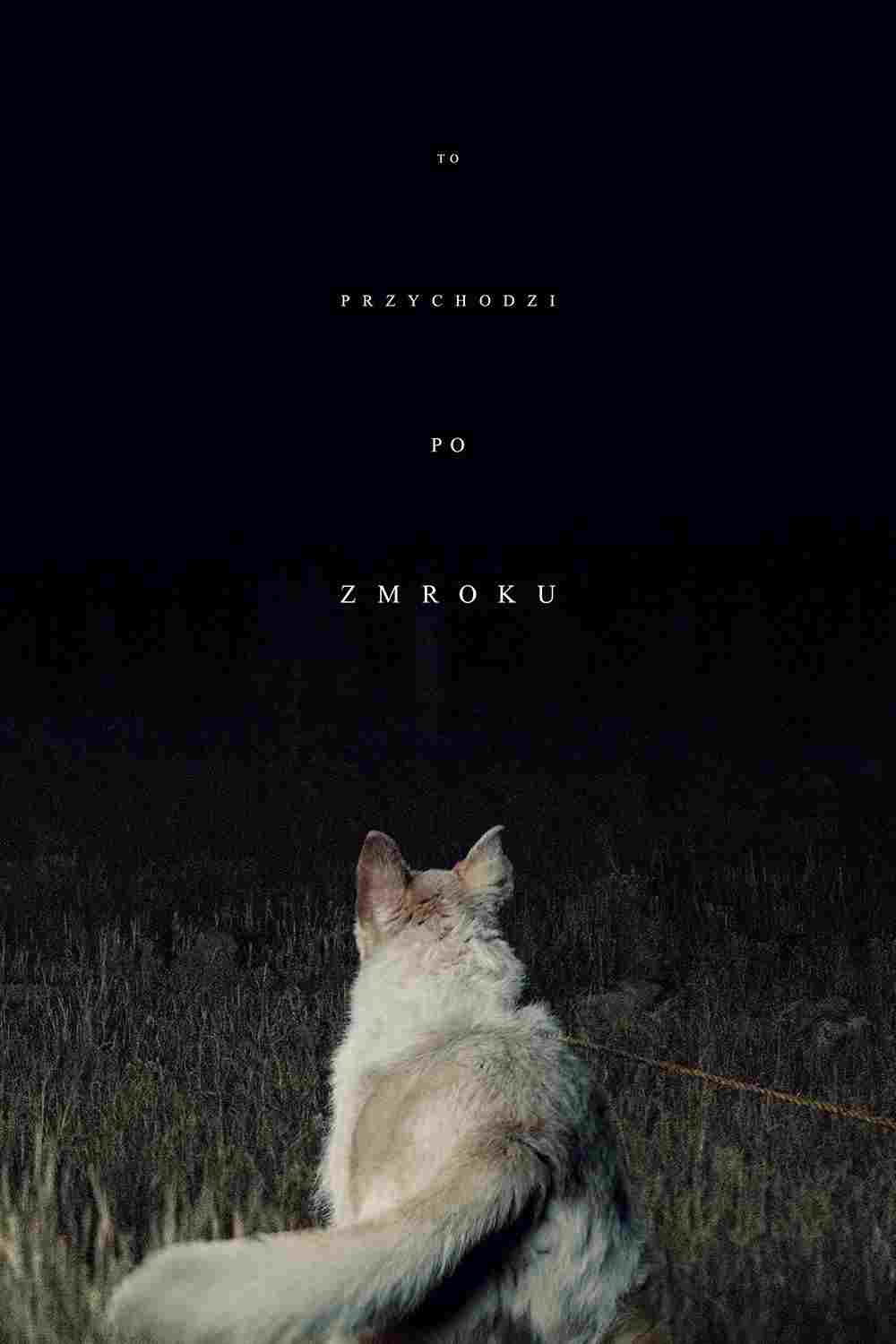  To przychodzi po zmroku 