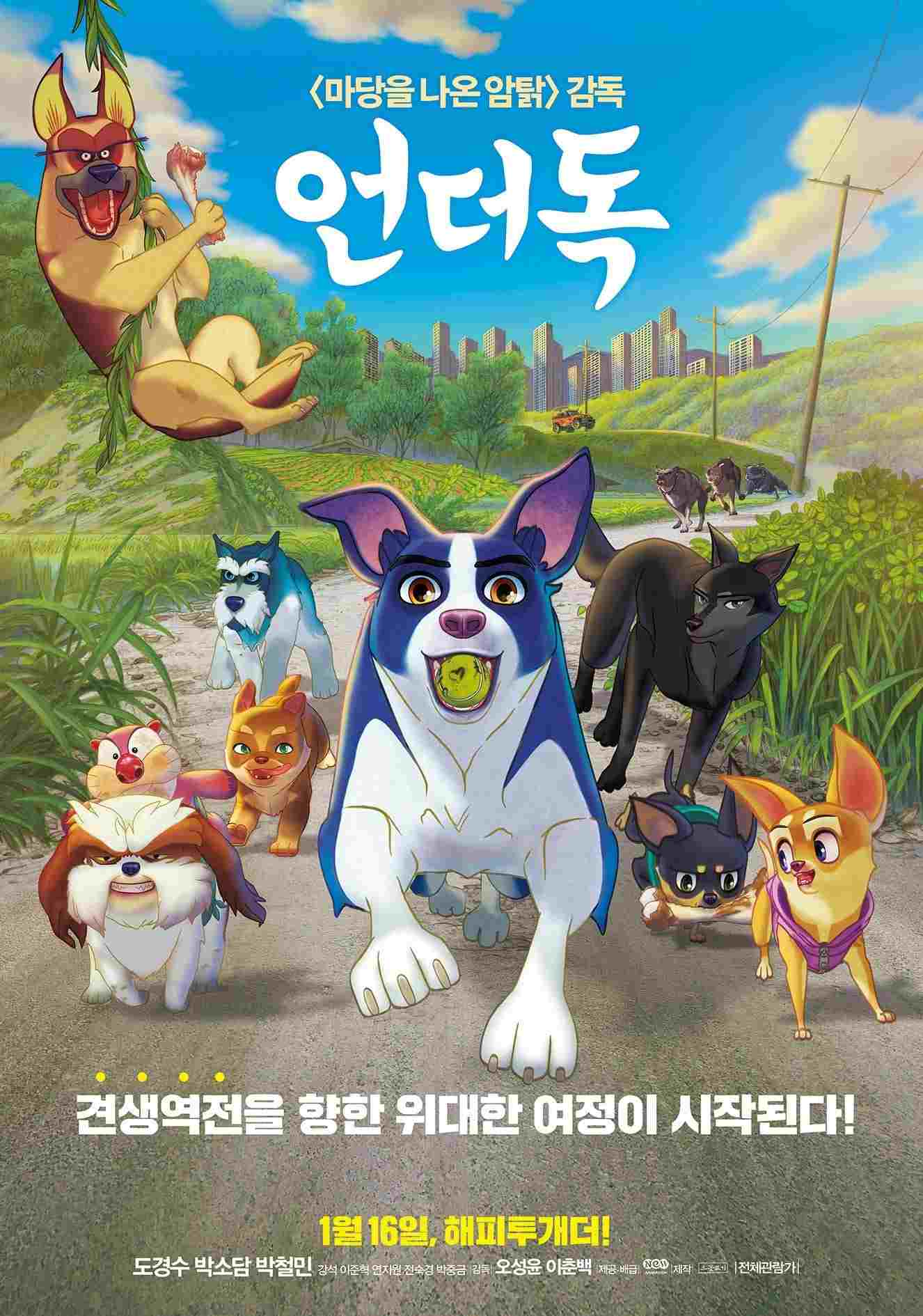 언더독 