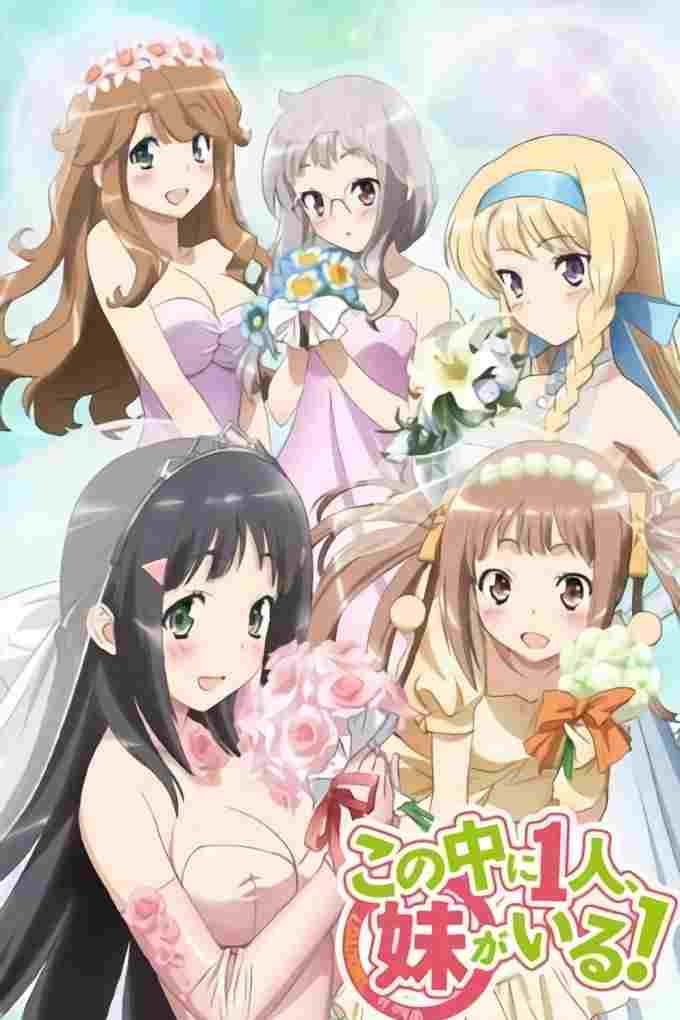  Kono Naka ni Hitori, Imouto ga Iru! 