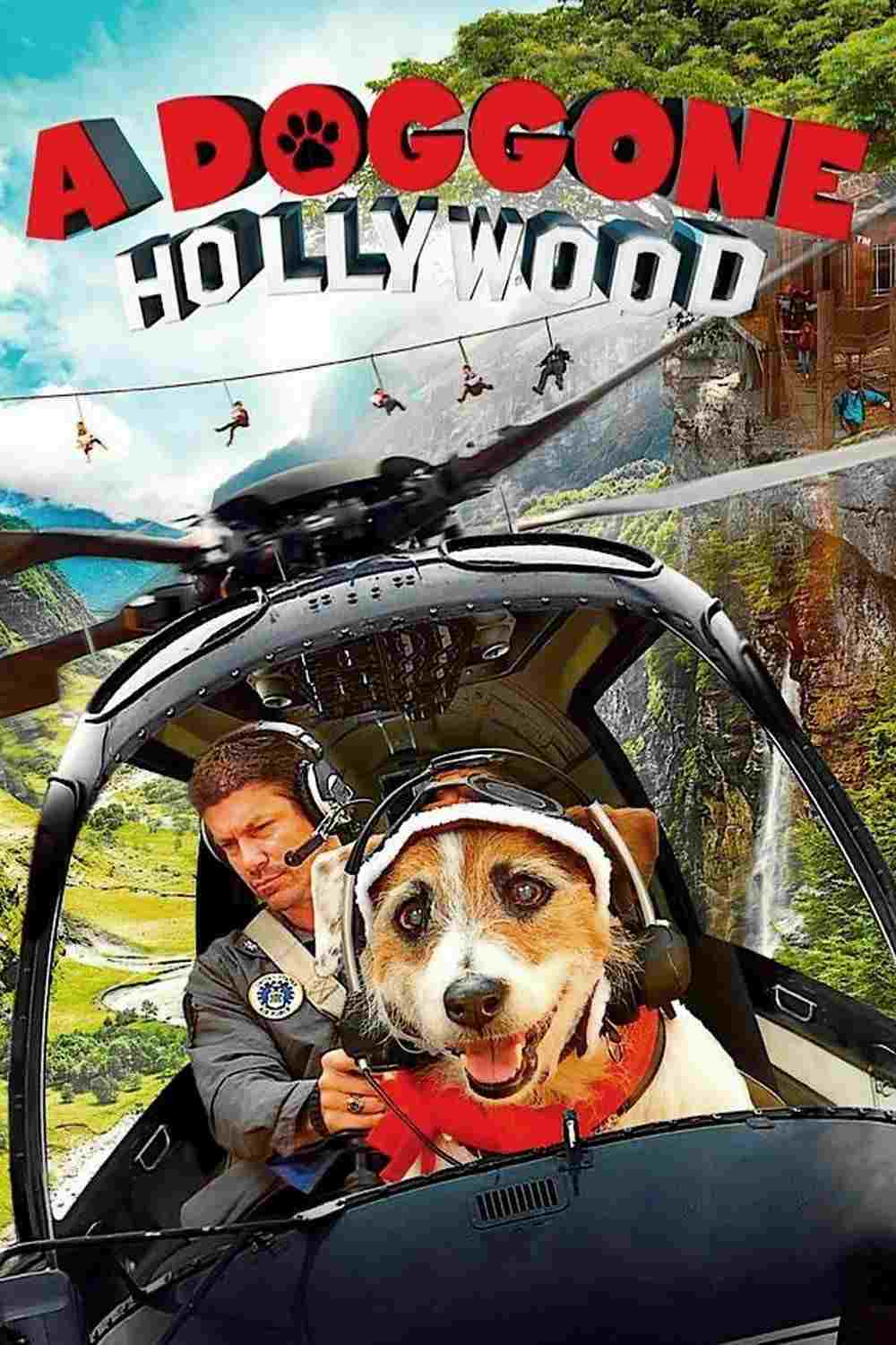  Piesek z Hollywood 