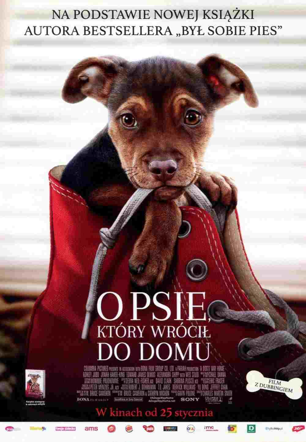 O psie, który wrócił do domu 