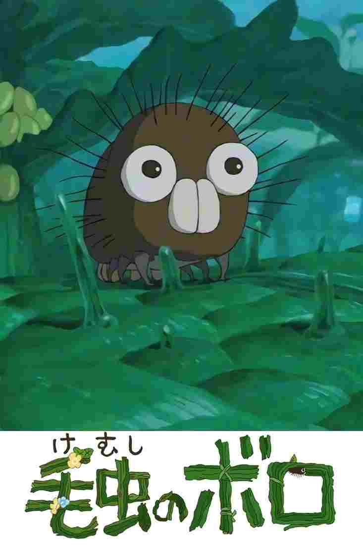  毛虫のボロ 