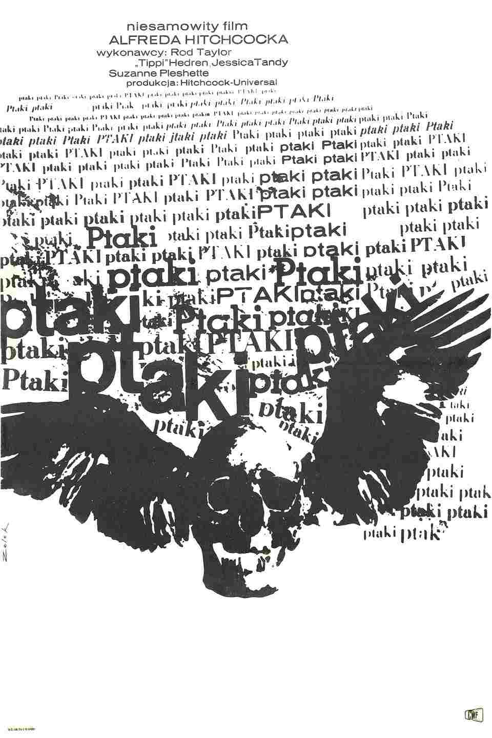  Ptaki 