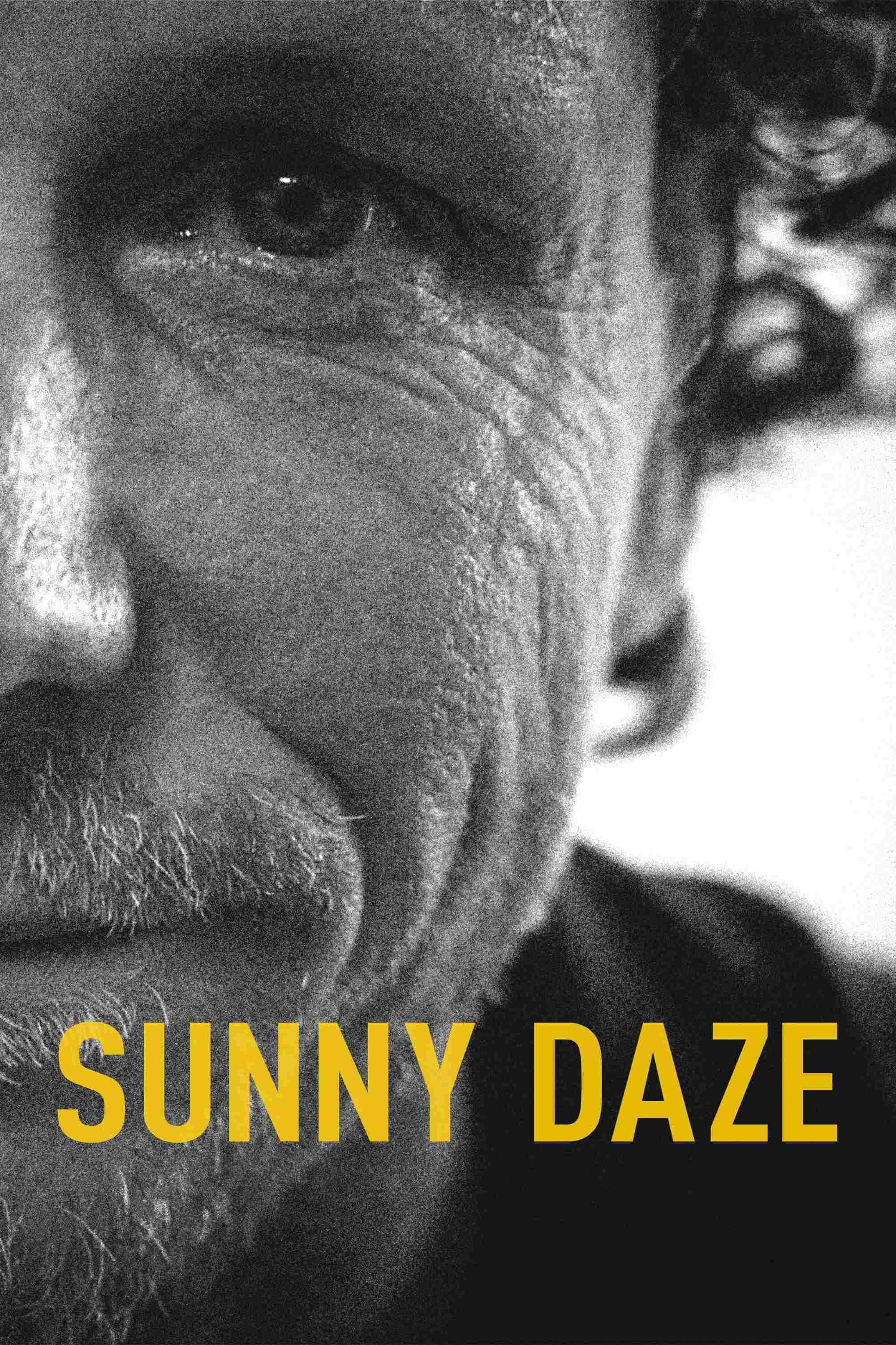  Sunny Daze 