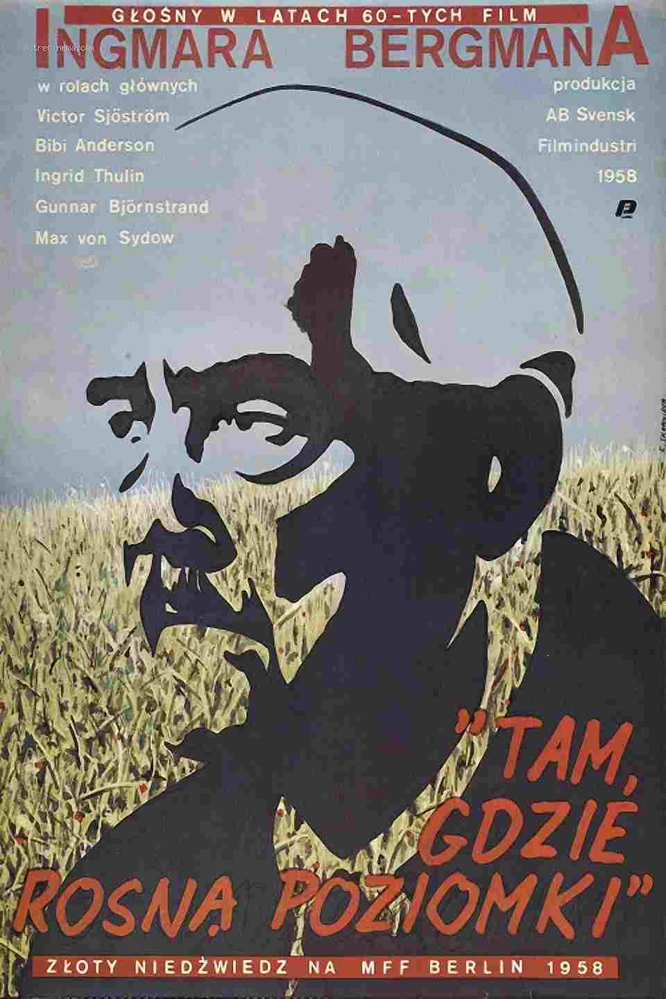  Tam, gdzie rosną poziomki 
