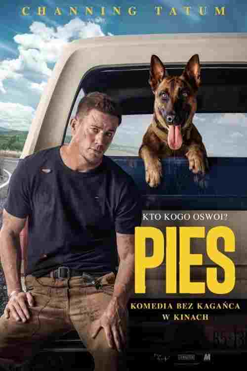  Pies 