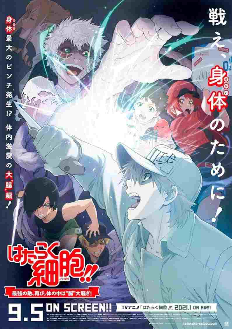  Hataraku Saibou!!: Saikyou no Teki, Futatabi. Karada no Naka wa "Chou" Oosawagi! 