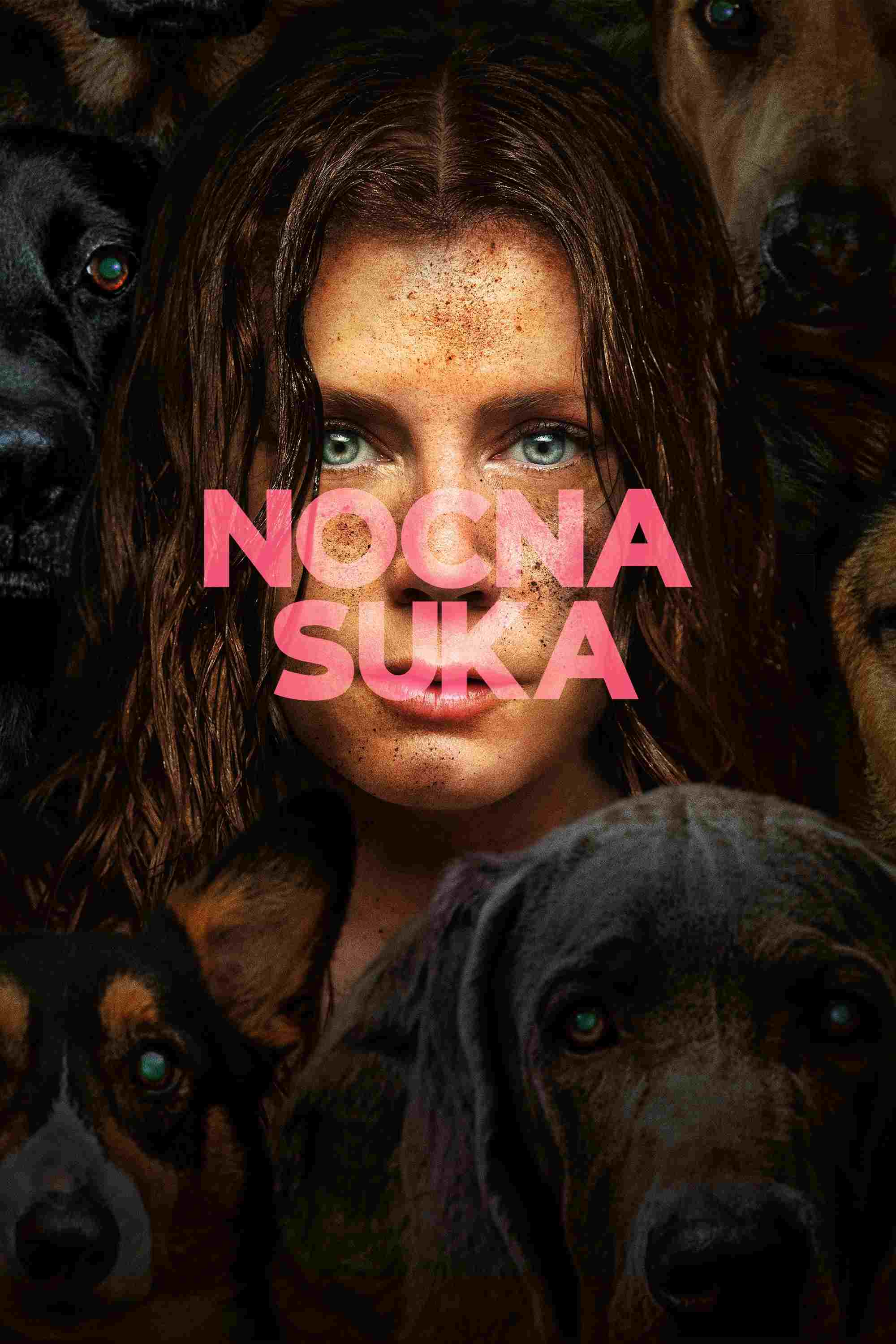  Nocna suka 