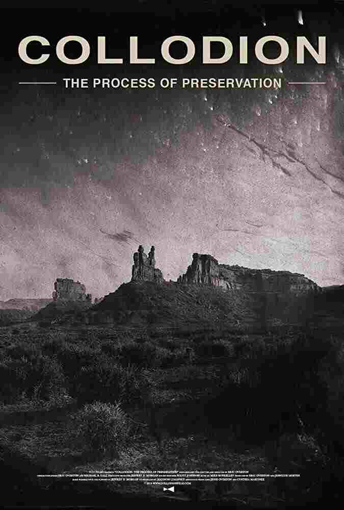  Collodion: The Process of Preservation 